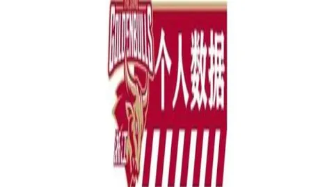 巴西地方当局调查美遣返移民疑涉人权违规行为