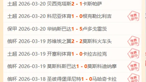 國米0-1敗都靈，布羅佐維奇獨中獨獨！迎戰歐冠再續征途